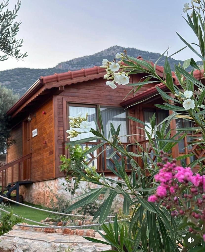 Doganin Ruhu Hotel & Bungalow Kaş Exterior foto