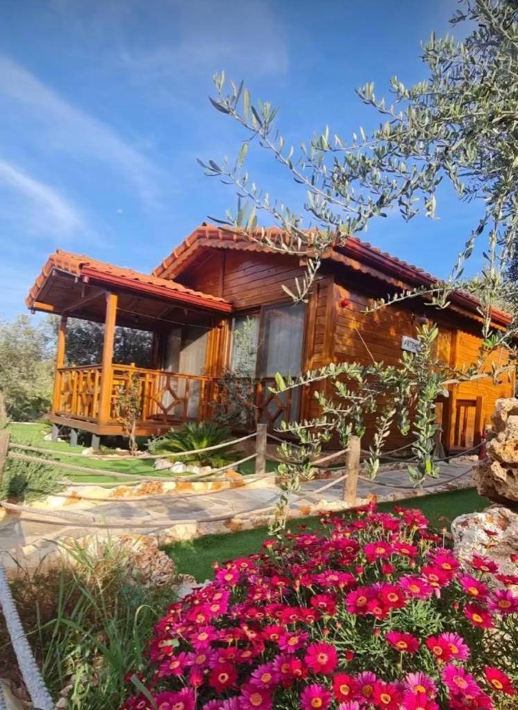 Doganin Ruhu Hotel & Bungalow Kaş Exterior foto